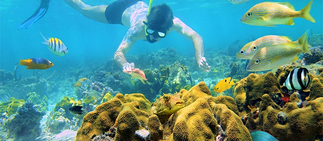 Puerto Morelos National Reef Park