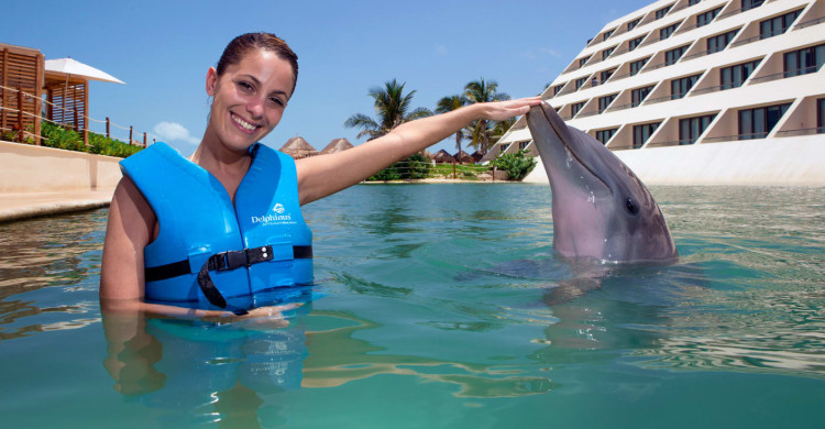 Swim with Dolphins puerto morelos