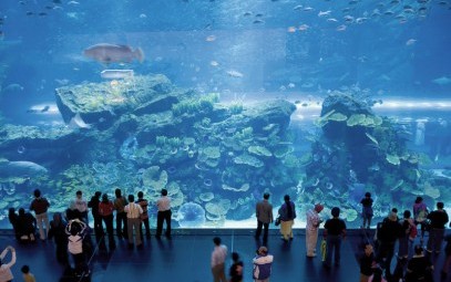 Veracruz Aquarium - mexico famous place