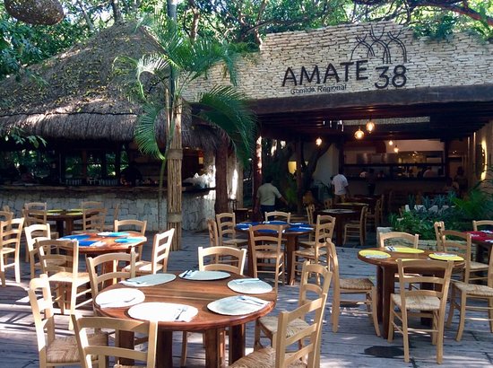 amarte 38 - best restaurants playa del carmen