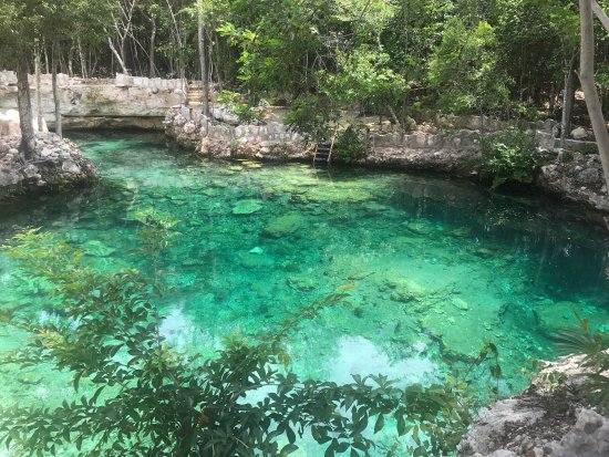 Cenote turtle hunting - what are the best cenotes in tulum