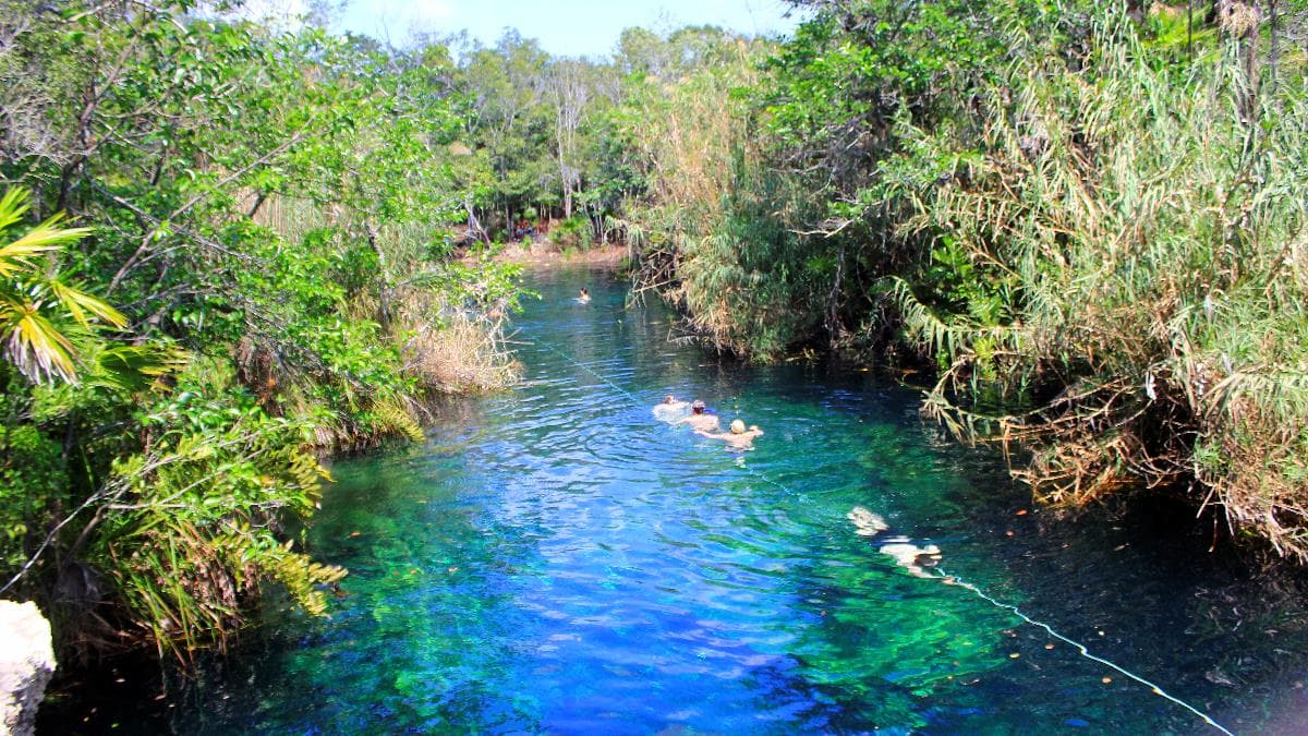 Escondido Cenote - best cenotes to visit in tulum