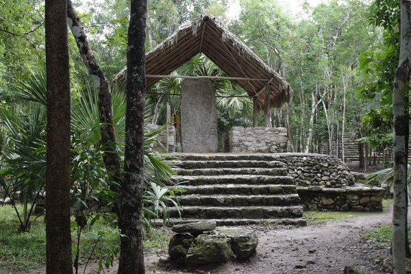 Stelae coba maya ruin