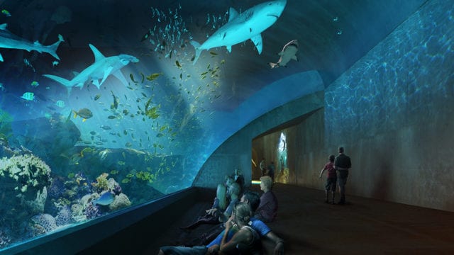 Mazatlan Aquarium