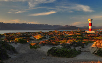 Bahia de los Angeles bc