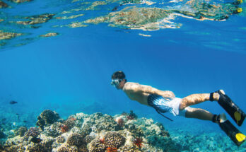 Can you swim in Cancun in december