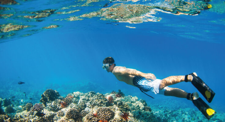 Can you swim in Cancun in december