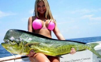 Deep sea fishing Cancún December